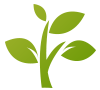 採用法國頂尖植物原料